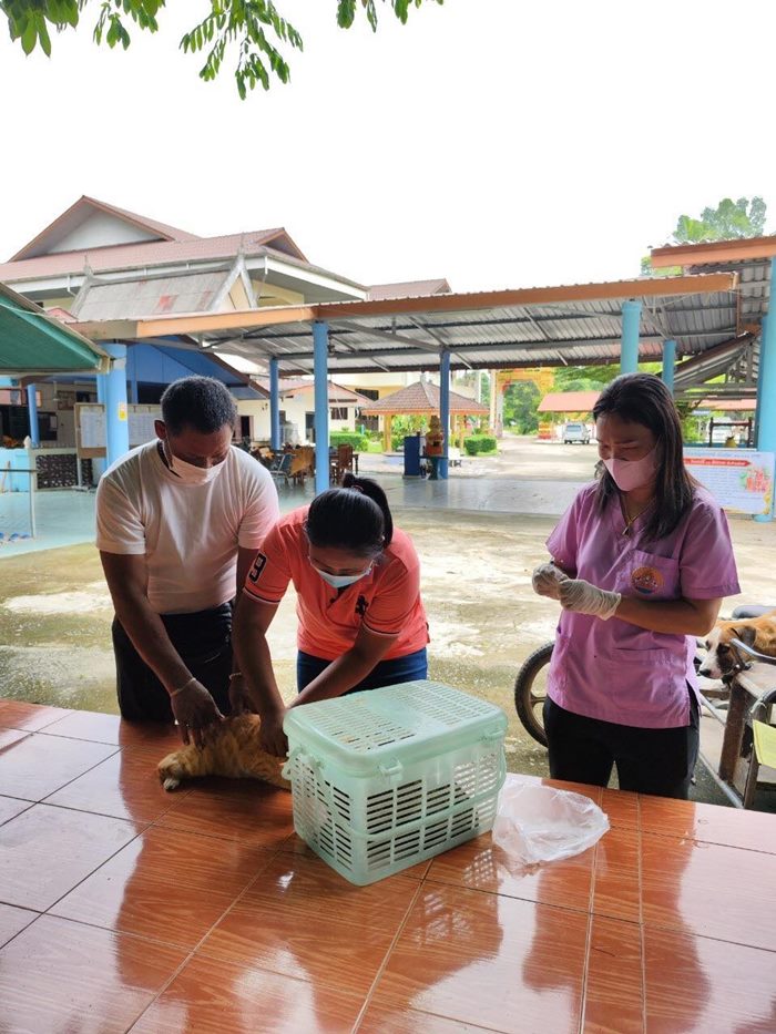 โครงการป้องกันและควบคุมโรคพิษสุนัขบ้า วันที่ 9-11 สิงหาคม 2565